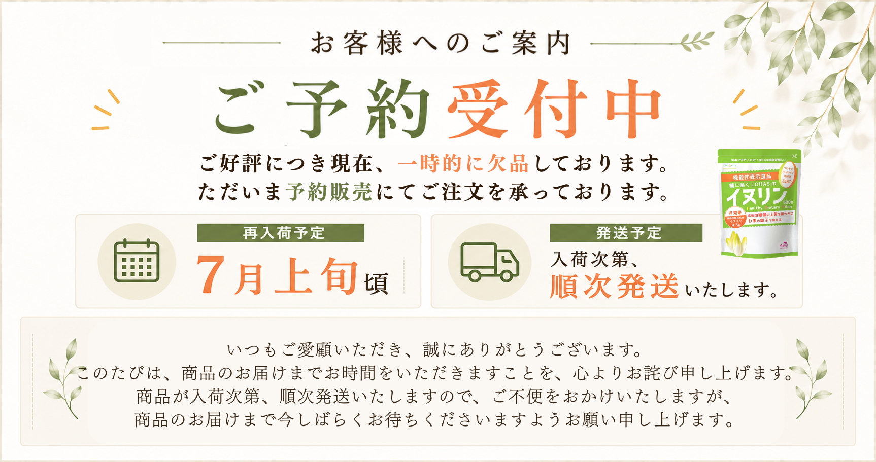 予約：7月13日以降順次発送予定】 機能性表示食品イヌリン